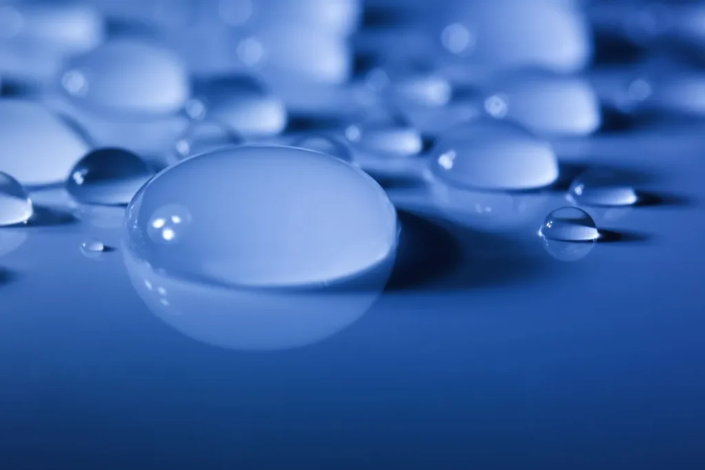 Bluum Nutricosmética premium con bioactivos naturales