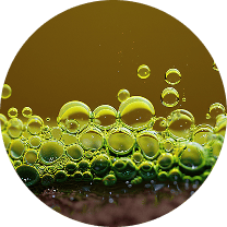 Bluum Nutricosmética premium con bioactivos naturales